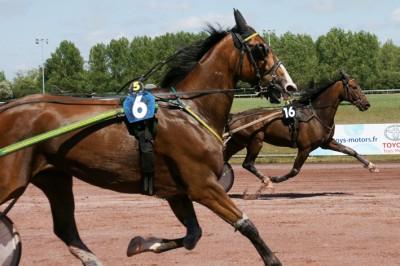 Grand Prix Toys Motors à L'Hippodrome des Sables d'Olonne