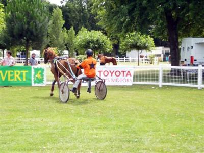 Concours Hippique Toys Motors à l' hippodrome de Royan