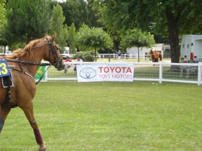 Concours Hippique Toys Motors à l' hippodrome de Royan