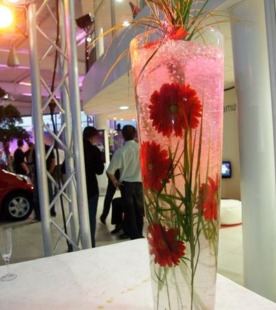 INAUGURATION DE TOYOTA TOYS MOTORS TOURS