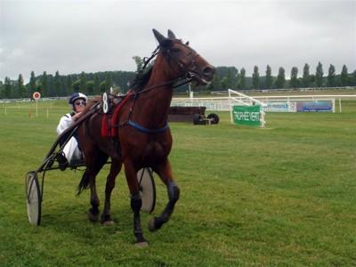 Trophée TOYS MOTORS à l'hippodrome de Royan La Palmyre
