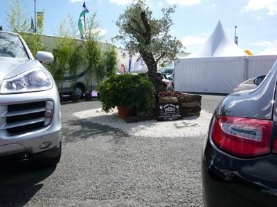 Toys Motors La Rochelle (17) présent sur la Foire Expo de La Rochelle... Bienvenue !