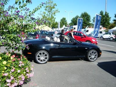 Toyota et Lexus La Roche (85) présent à la Foire des Minées