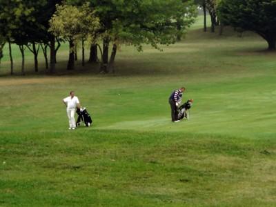 TOYOTA Toys Motors Cognac (16) organisait le Trophée de Golf du Cognac