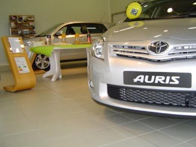 13 et 14 Mars 2010 GRAND CONCOURS DESSIN ET PEINTURE A TOURS ET LOCHES