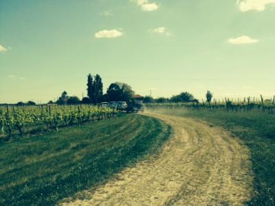 Toyota Aygo à gagner au Leclerc de Saint Gilles Croix de Vie