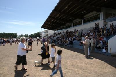 Hippodrome des Sables d'Olonne (85)