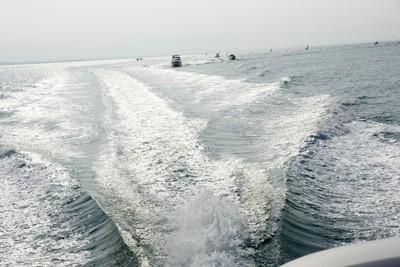 Rallye Saint Gilles - l'Ile d'Yeu pour TOYOTA et LEXUS Toys Motors (85)