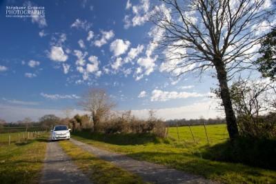 Découvrez le Verso S Grandeur Nature chez Toys Motors La Roche Sur Yon (85) et Les Sables D'olonne