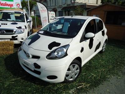 TOYOTA Toys Motors Loches présent à la Foire de Loches