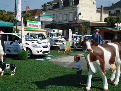 TOYOTA Toys Motors Loches présent à la Foire de Loches