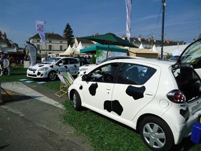 TOYOTA Toys Motors Loches présent à la Foire de Loches