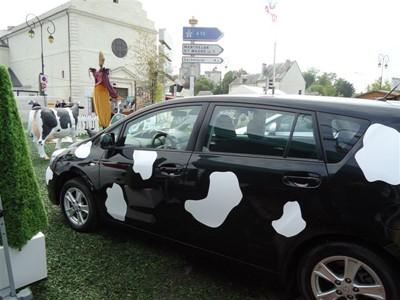 TOYOTA Toys Motors Loches présent à la Foire de Loches