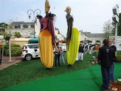 TOYOTA Toys Motors Loches présent à la Foire de Loches