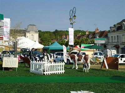 TOYOTA Toys Motors Loches présent à la Foire de Loches