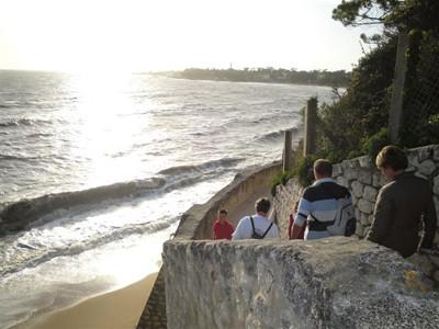 TOYOTA Toys Motors ROYAN & la randonnée gourmande