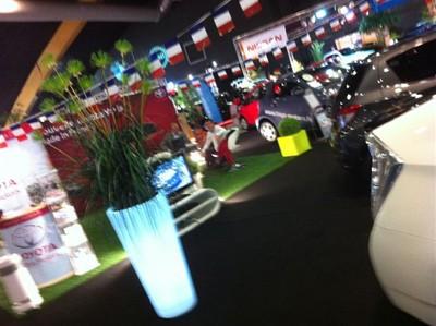 TOYOTA Toys Motors et LEXUS TOURS présent au Salon Auto de Tours