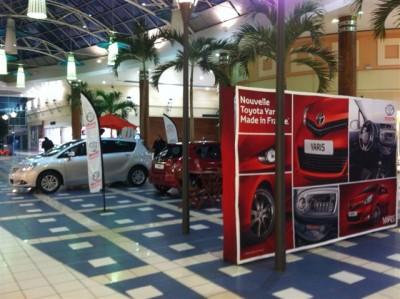 Exposition au centre commercial de "La Riche Soleil"