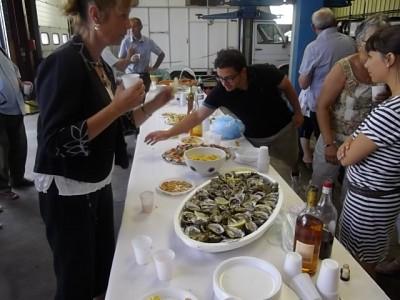 Journée d'exposition de la gamme Toyota en partenariat avec le garage Grousset