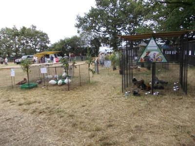 7ème fête de la chasse, de la pêche et de la nature