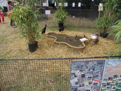 7ème fête de la chasse, de la pêche et de la nature