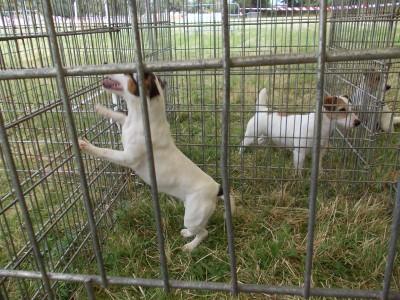 7ème fête de la chasse, de la pêche et de la nature