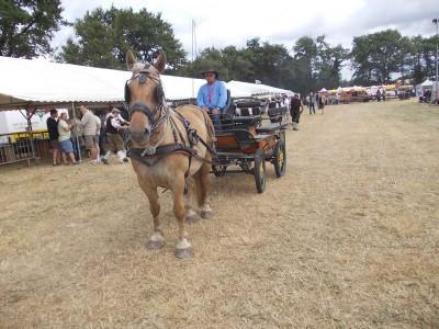 7ème fête de la chasse, de la pêche et de la nature