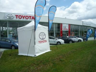 15 ans de l'hybride !