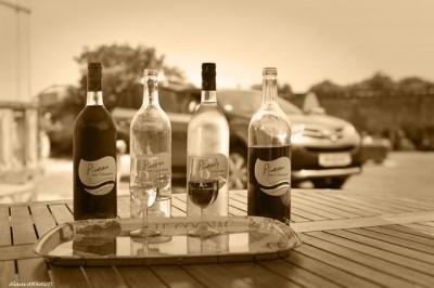 Rallye en Charente Maritime