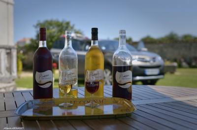 Rallye en Charente Maritime