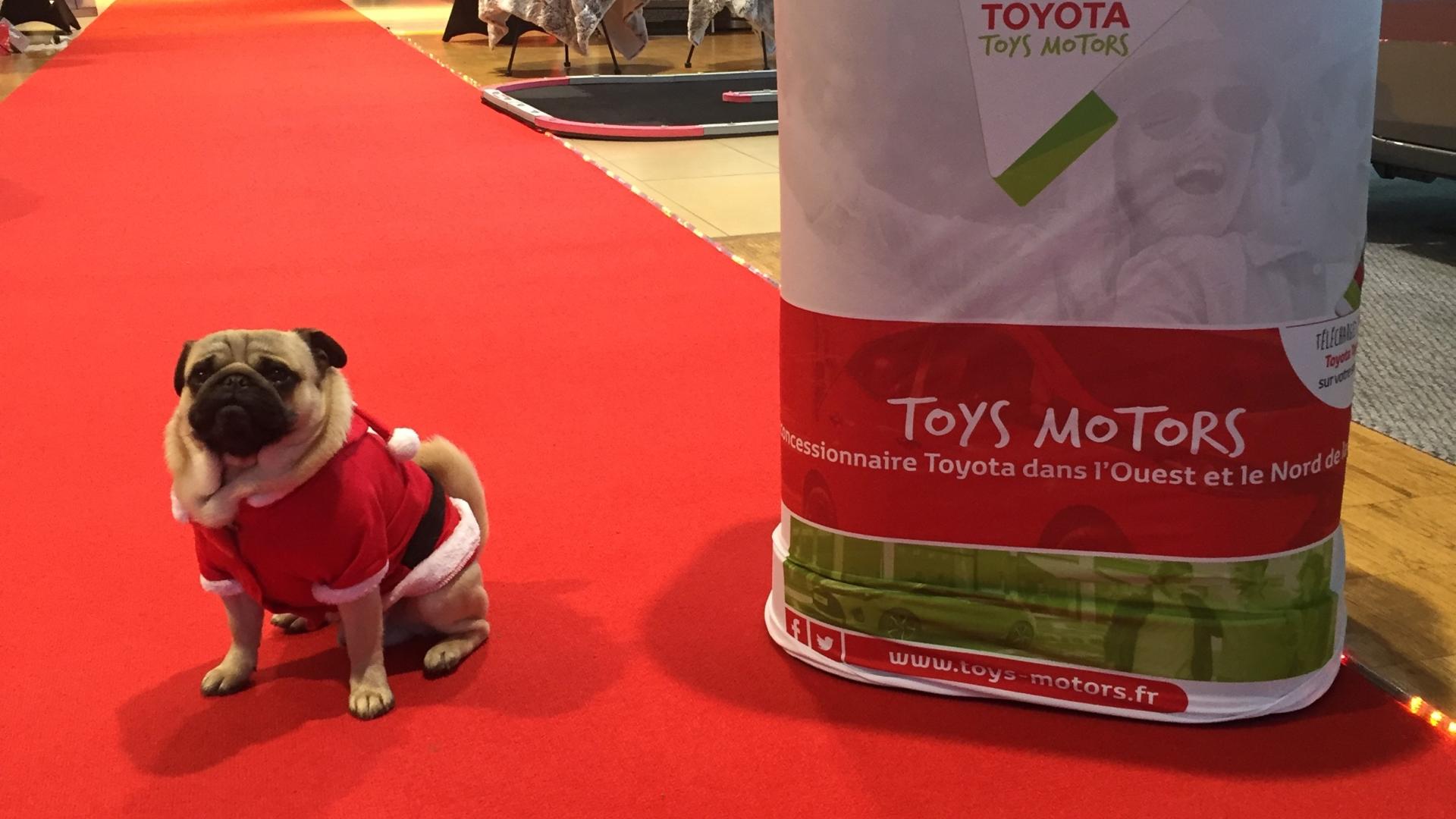 Marché de Noël Toyota Toys Motors