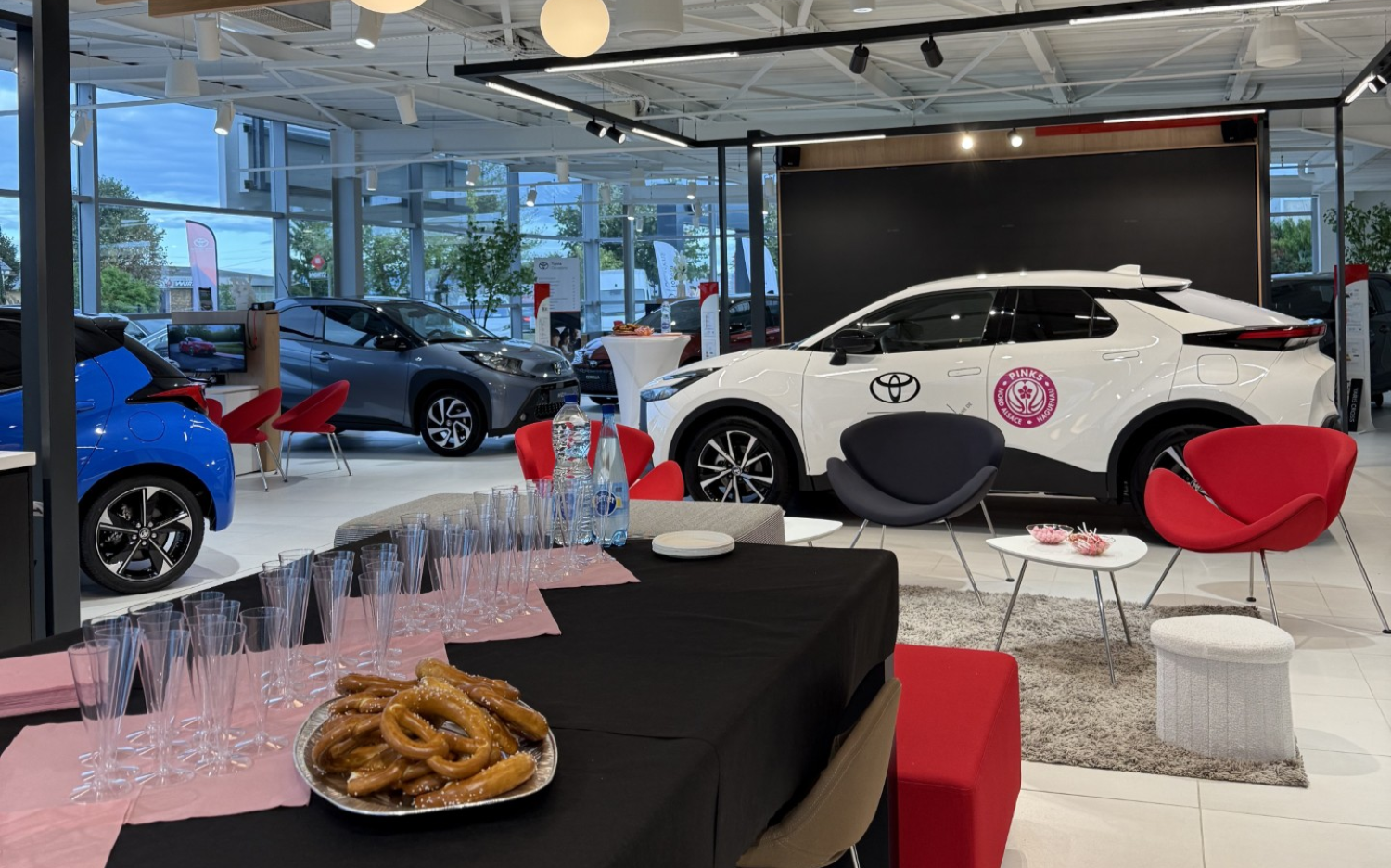 Toys Motors Haguenau X Les Pinks
