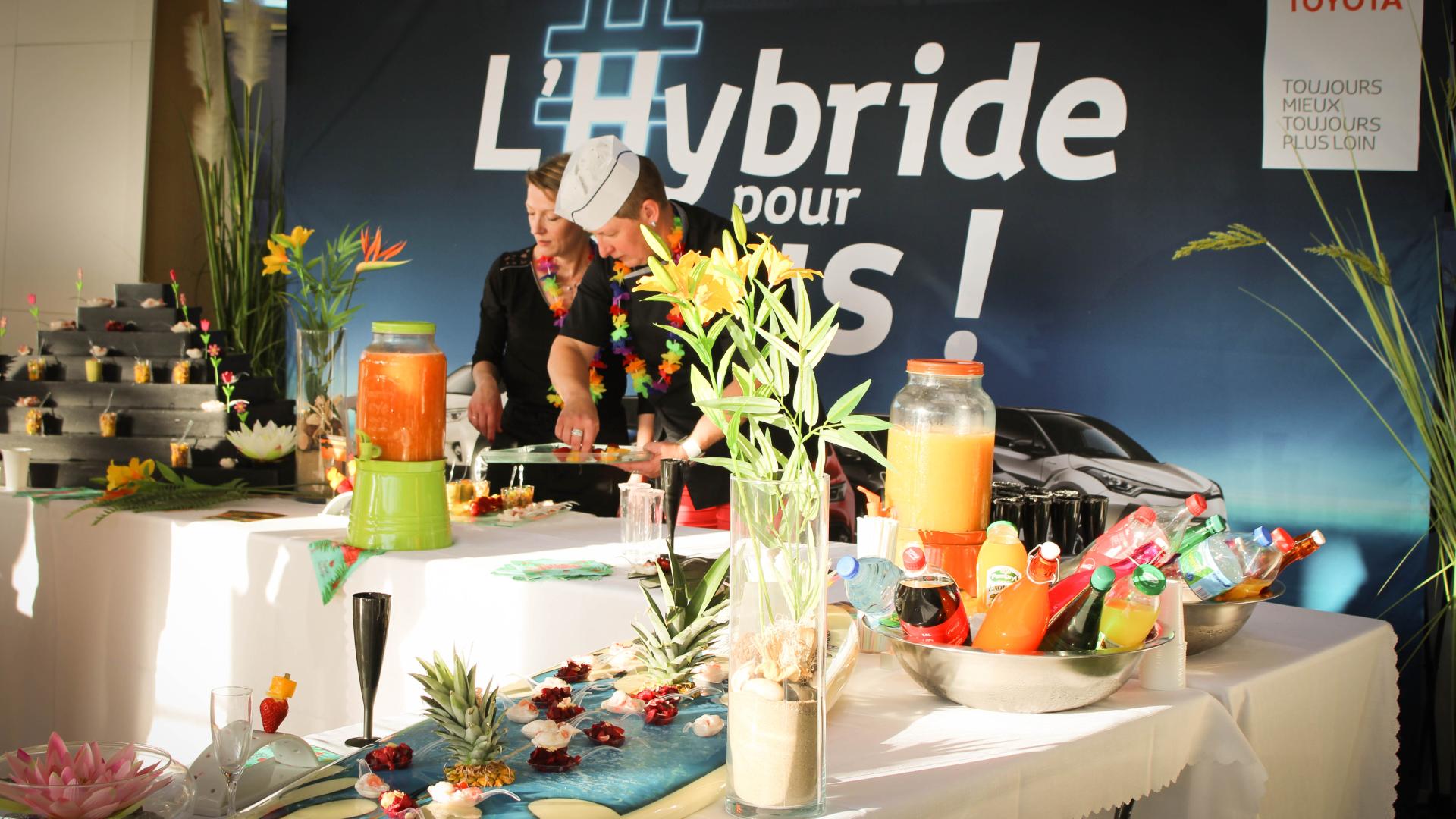 Toys Motors Saint-Omer : Hybride, ptit punch et cocotiers