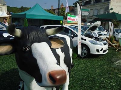 TOYOTA Toys Motors Loches présent à la Foire de Loches
