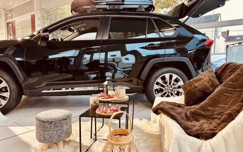 Les jours givrés chez Toys Motors