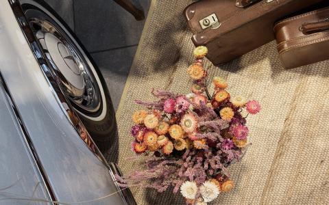 Le Salon de l’Automobile 2026