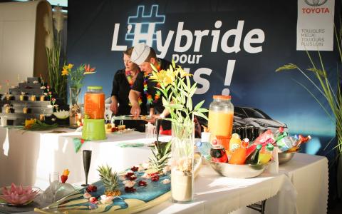 Toys Motors Saint-Omer : Hybride, ptit punch et cocotiers
