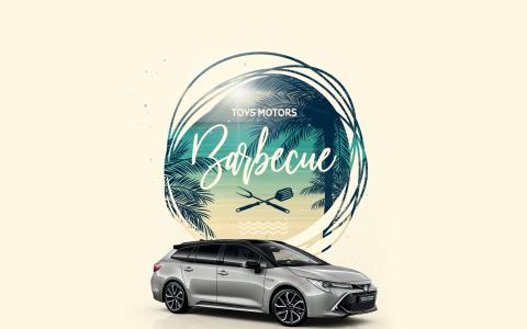 Barbecue Toys Motors