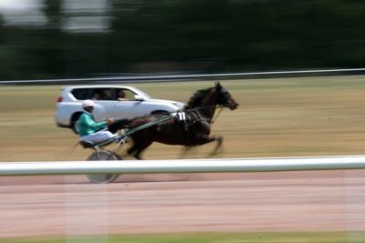 Hippodrome des Sables d'Olonne (85)