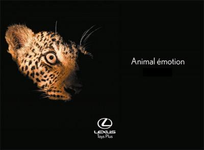 Lancement Lexus IS