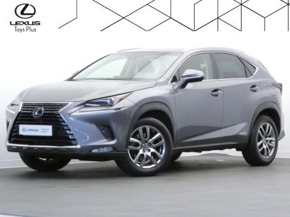 LEXUS NX 2.5 300H Luxe 4WD AUTO  