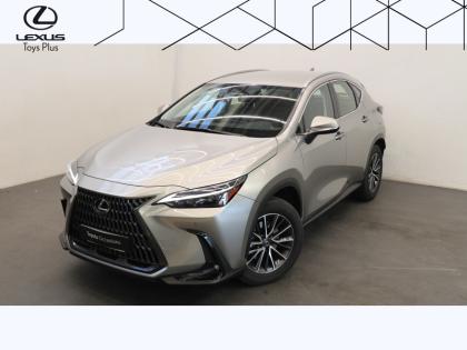 LEXUS NX 350H Pack Business 2WD MY25  