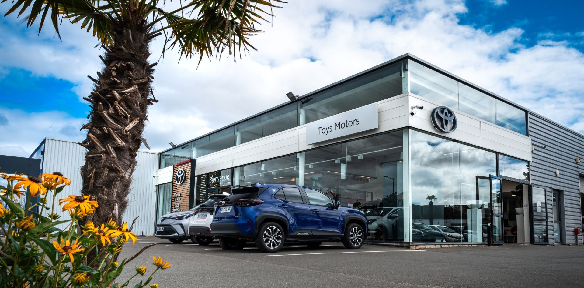 Toys Motors Challans