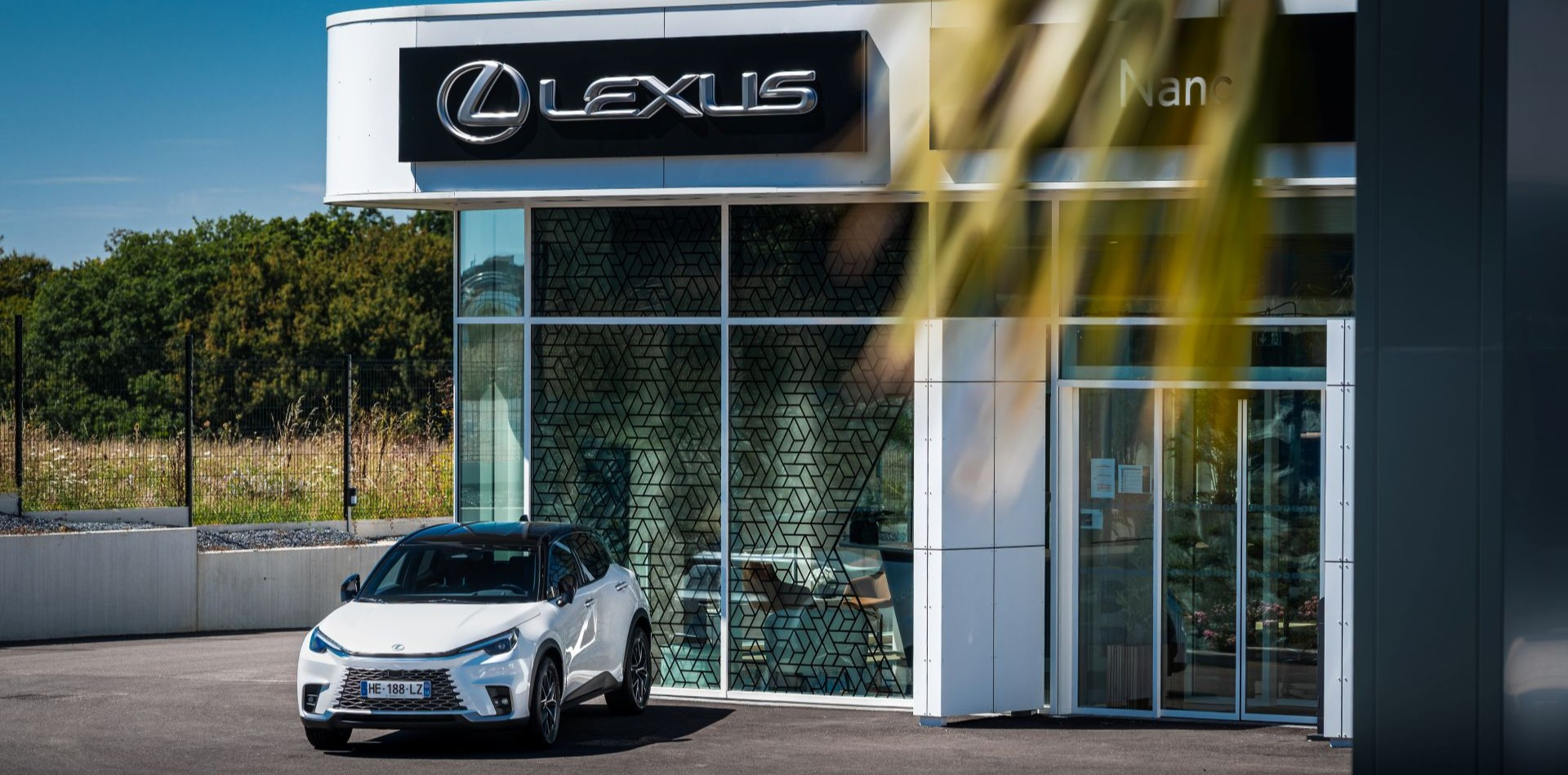 Lexus Nancy